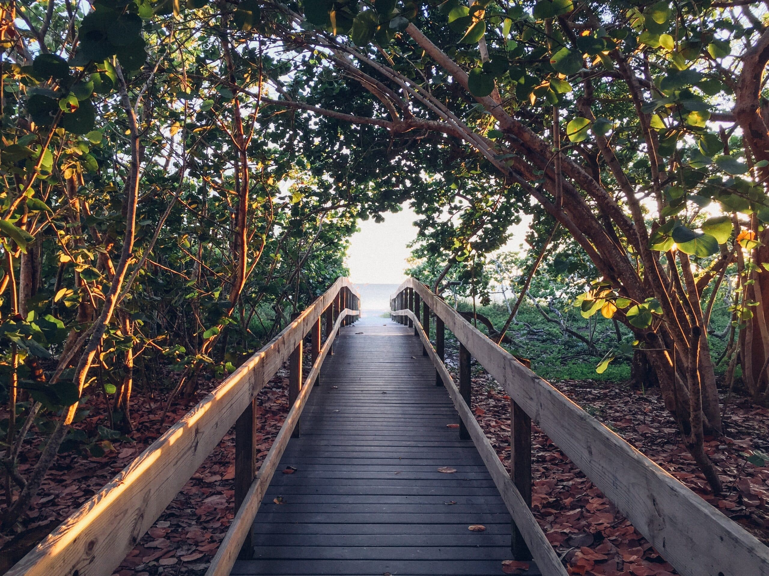 looking down a wooden bridge