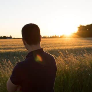 Man looking towards sunset over field