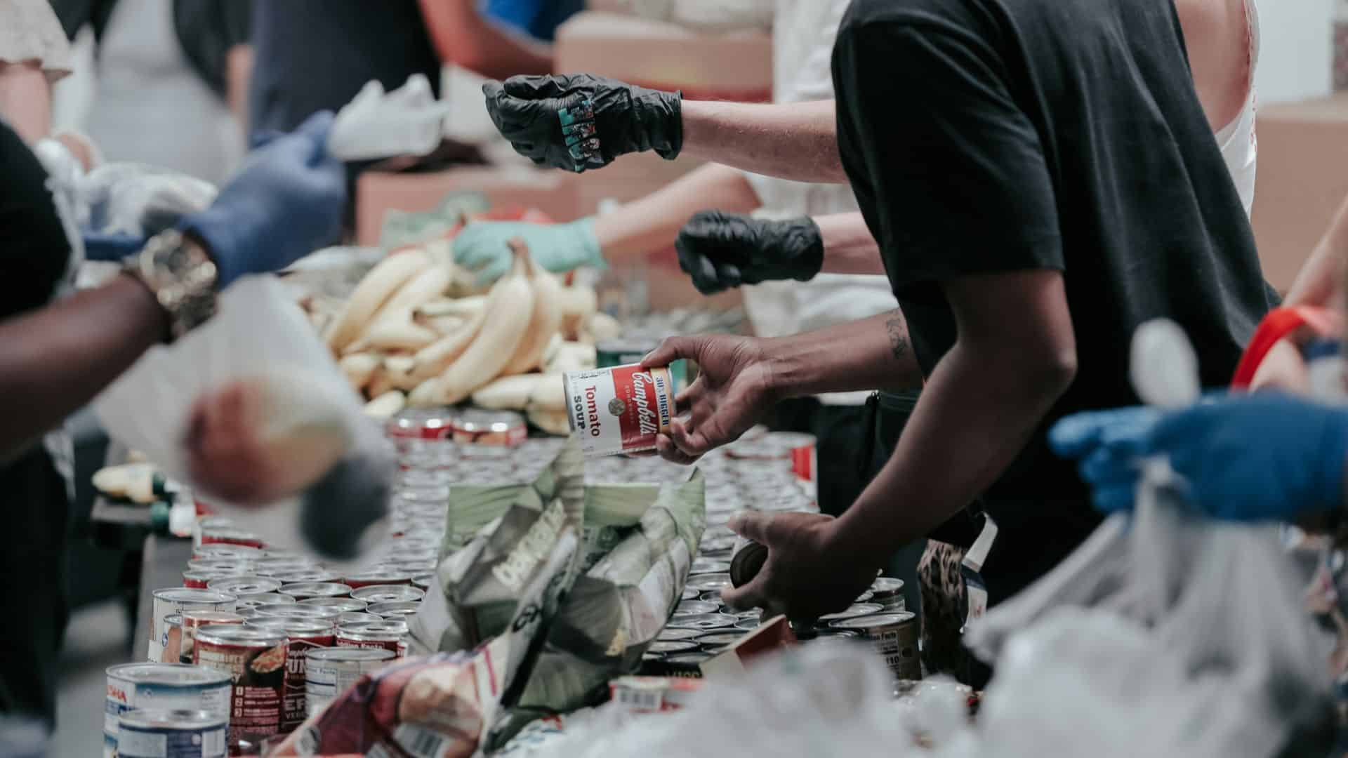 volunteer opportunities